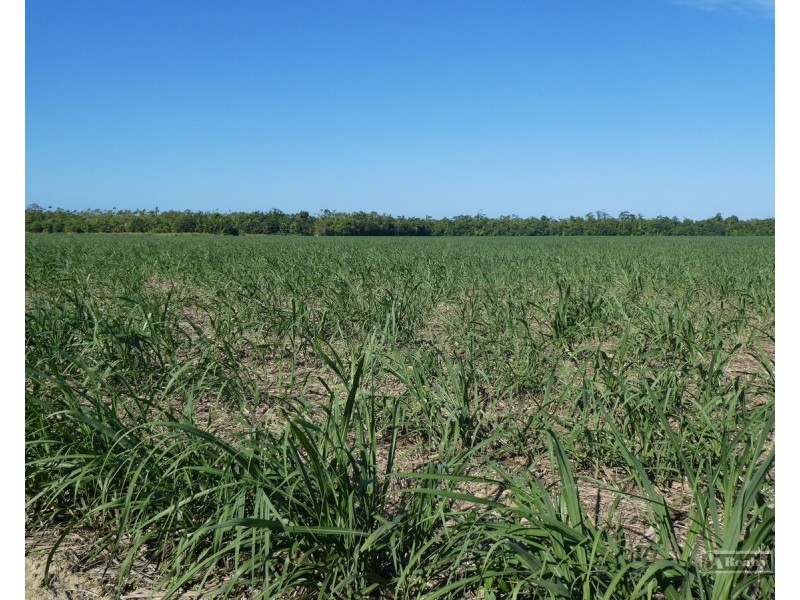 Cowley QLD 4871
