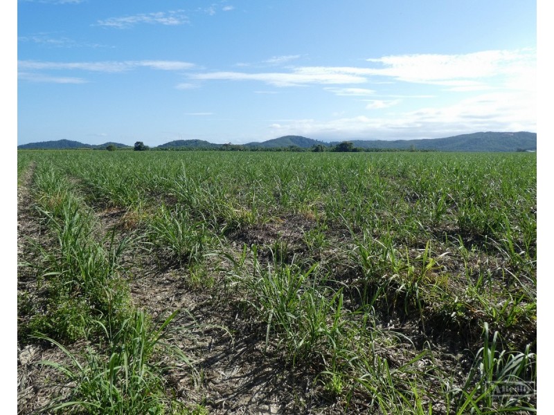 Cowley QLD 4871