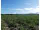 Cowley QLD 4871