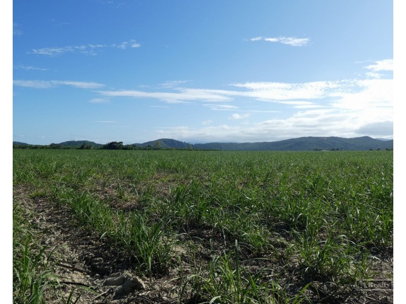 Cowley QLD 4871
