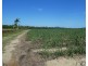 Cowley QLD 4871