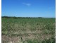 Cowley QLD 4871
