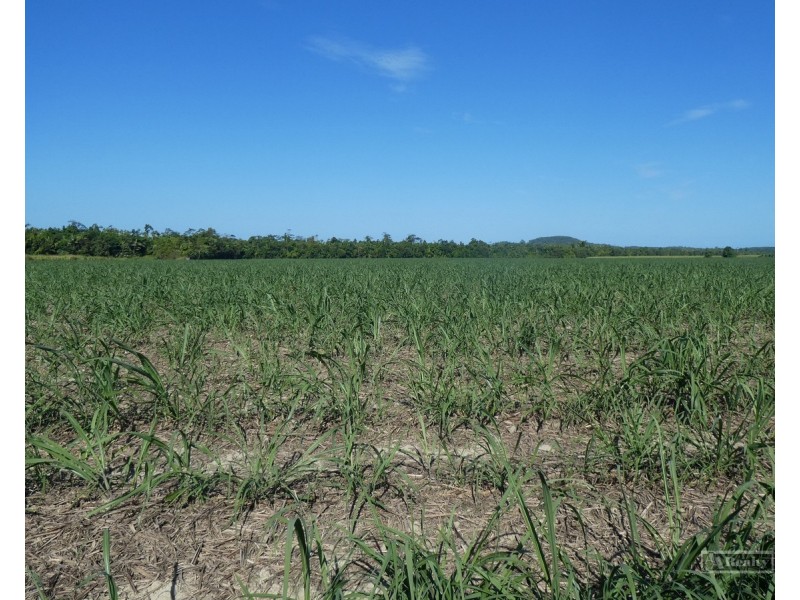 Cowley QLD 4871
