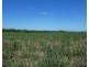 Cowley QLD 4871