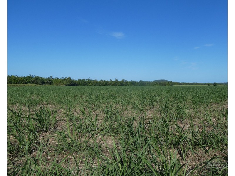 Cowley QLD 4871