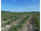 Cowley QLD 4871