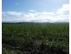 Cowley QLD 4871