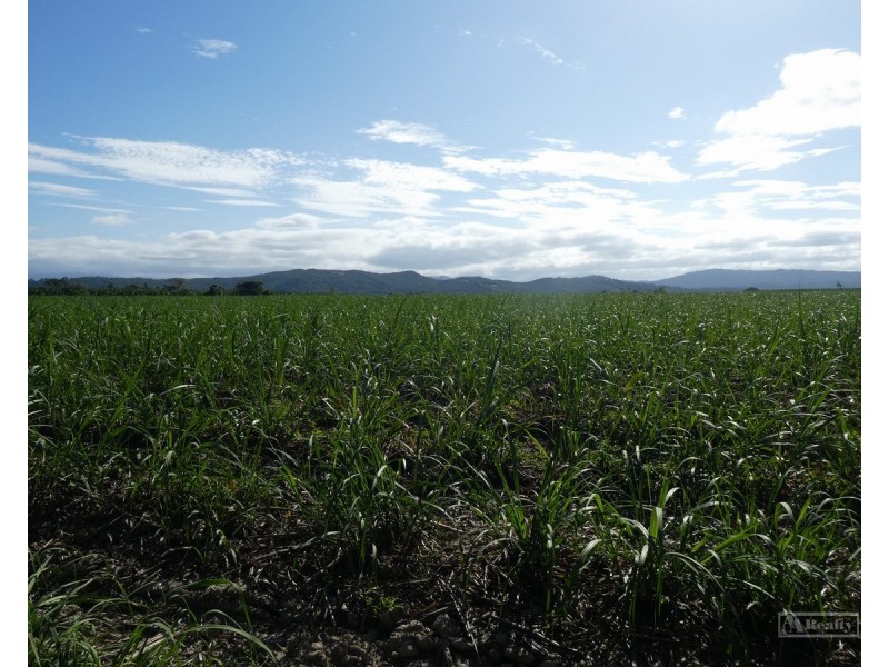 Cowley QLD 4871