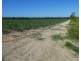 Cowley QLD 4871