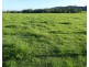 Cowley QLD 4871