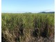 Cowley QLD 4871