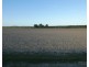 Cowley QLD 4871