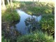 Cowley QLD 4871