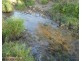 Cowley QLD 4871