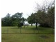 Coconuts QLD 4860