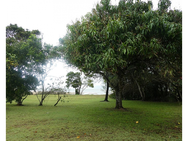Coconuts QLD 4860