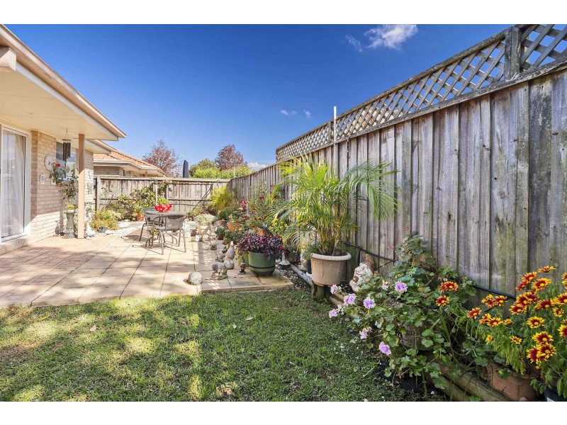 4/4 Tyrone Avenue, Forestville NSW 2087