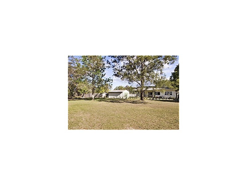 17 Davidson Avenue, Forestville NSW 2087