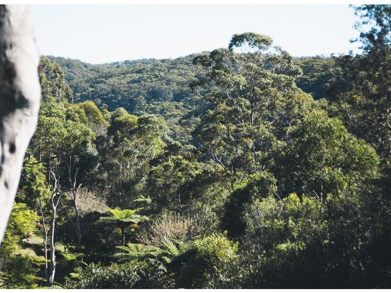 2 Yallumba Close, Forestville NSW 2087