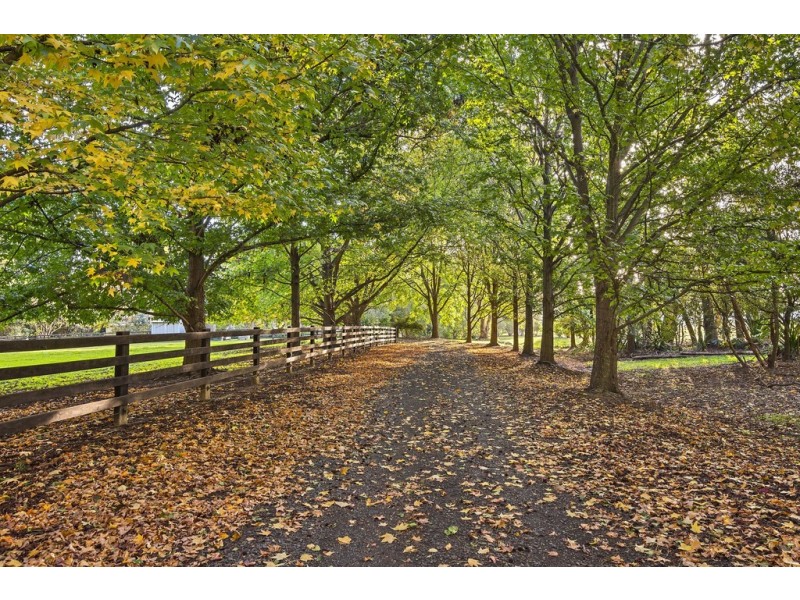 1168 Peats Ridge Road, Peats Ridge NSW 2250