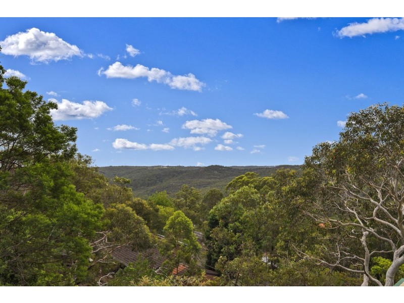 99 Sir Thomas Mitchell Drive, Davidson NSW 2085