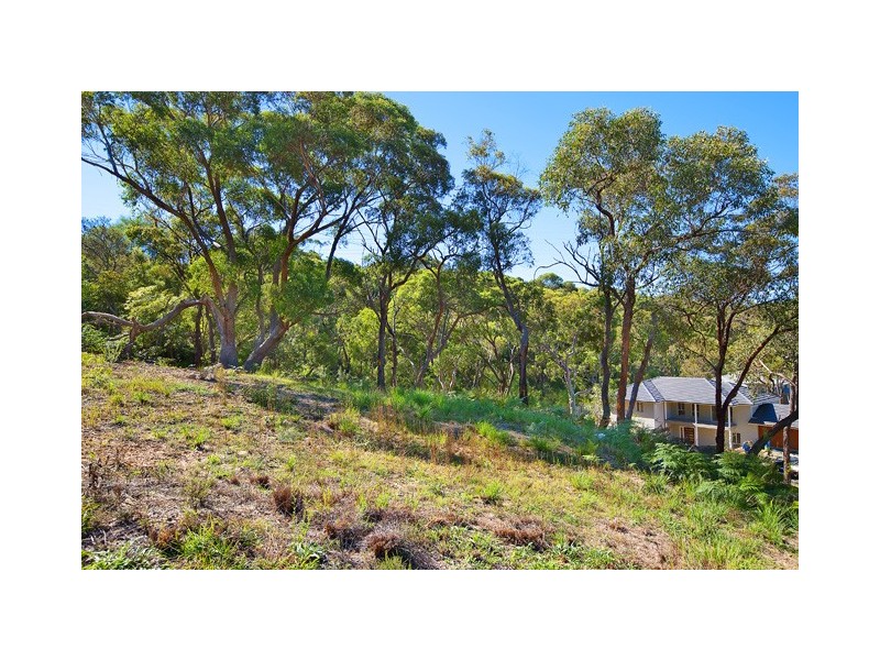 Lot 7, 72 Carnarvon Drive, Frenchs Forest NSW 2086