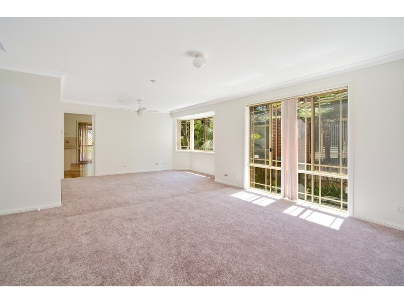 33b Carnarvon Drive, Frenchs Forest NSW 2086