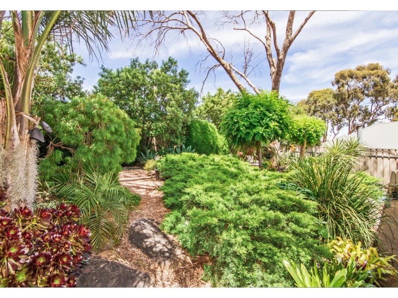 68 Sandalwood Crescent, Flagstaff Hill SA 5159