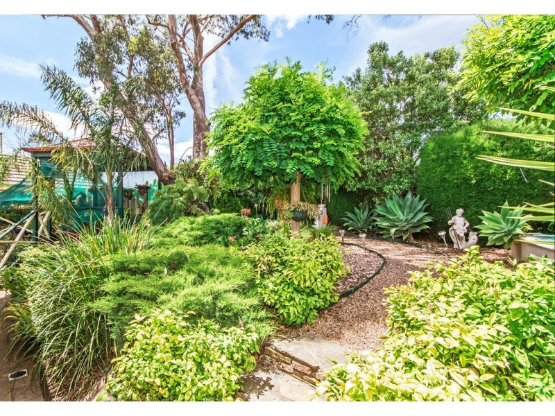 68 Sandalwood Crescent, Flagstaff Hill SA 5159