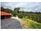 27 Broadmeadow Drive, Flagstaff Hill SA 5159