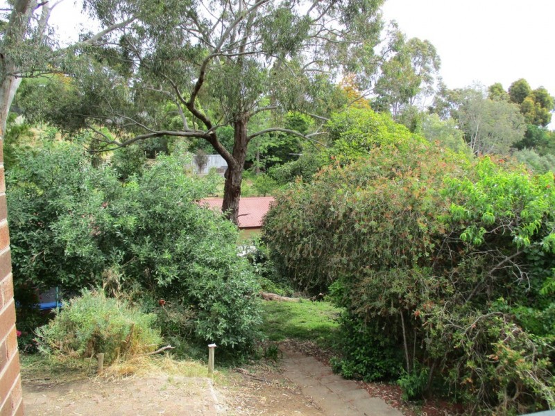 20 Oakdene Crescent, Coromandel Valley SA 5051