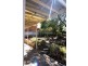89 Main Road, Glenalta SA 5052