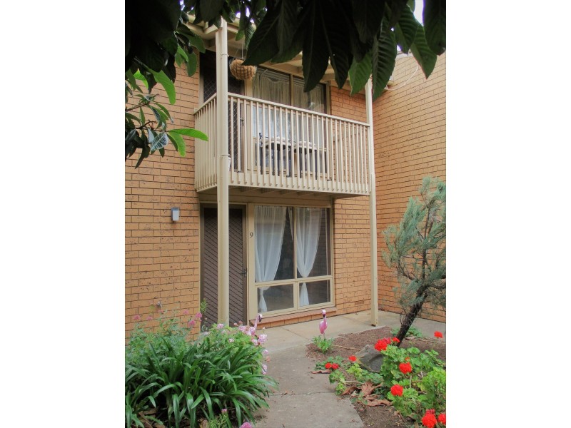 9/74 Ward Street, North Adelaide SA 5006