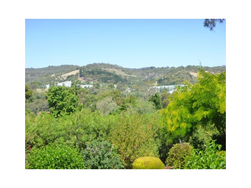 8 Plymouth ave, Coromandel Valley SA 5051