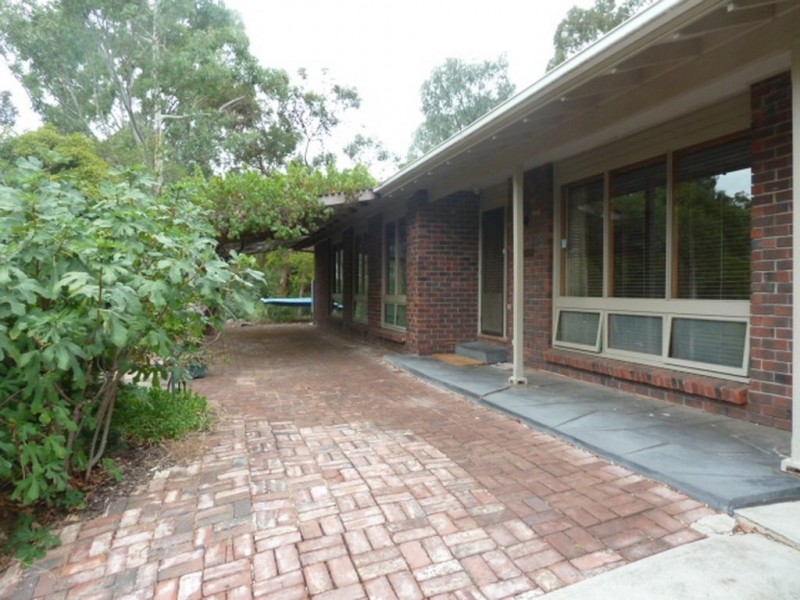 15 Clematis Drv, Blackwood SA 5051