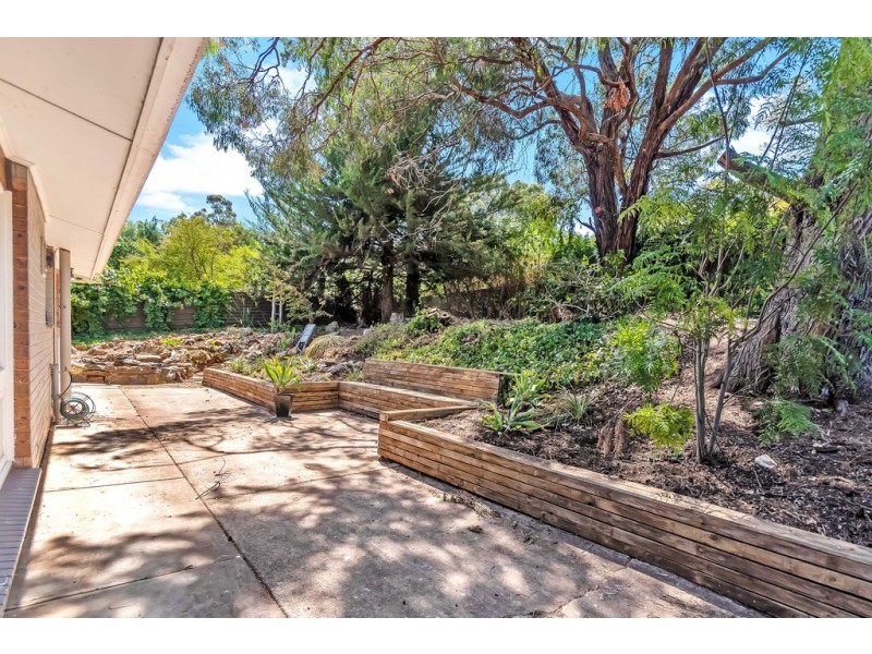 8 Meadowvale Road, Coromandel Valley SA 5051