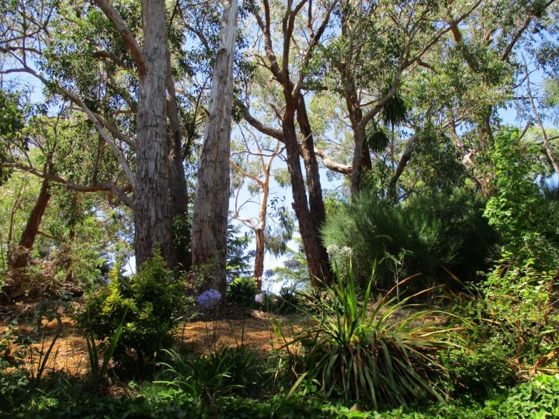 85 Sheoak Road, Crafers West SA 5152