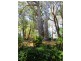 85 Sheoak Road, Crafers West SA 5152