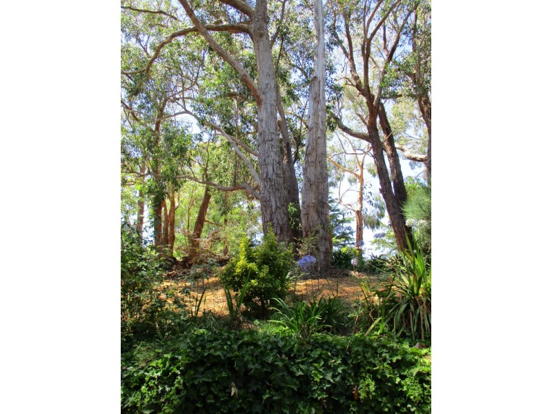 85 Sheoak Road, Crafers West SA 5152