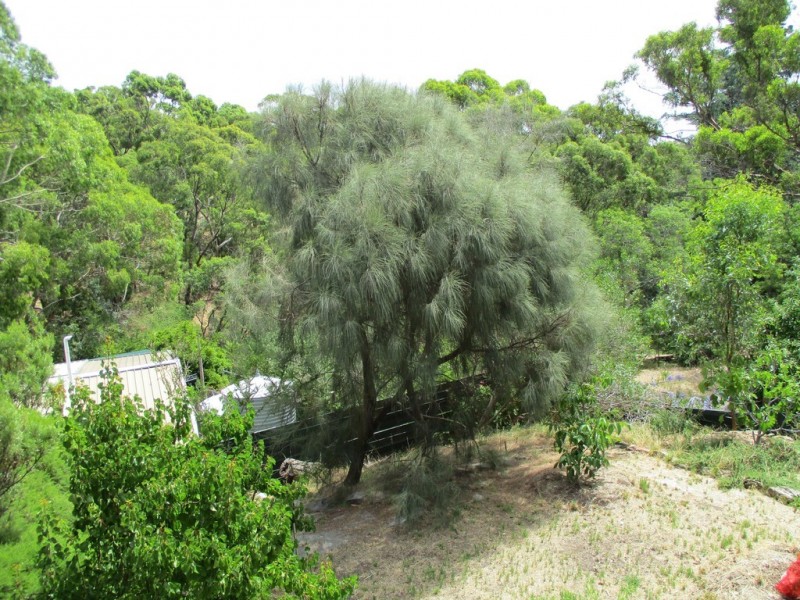 7 Mountain Road, Eden Hills SA 5050