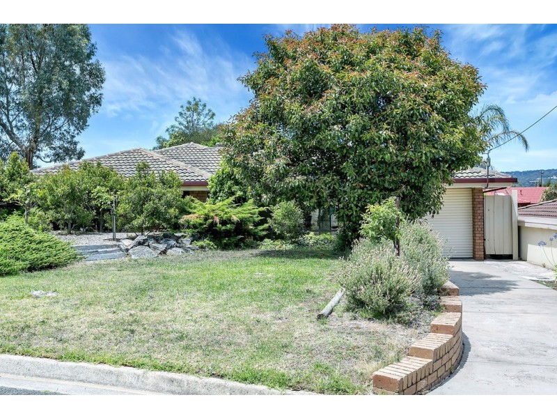 14 Hoyle Court, Flagstaff Hill SA 5159