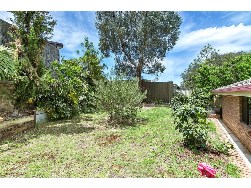 14 Hoyle Court, Flagstaff Hill SA 5159