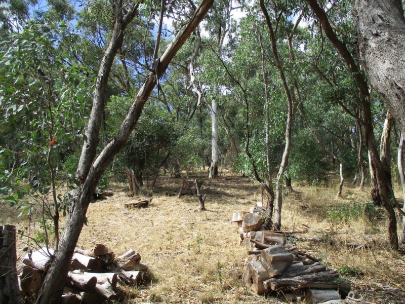 6 Ash Court, Belair SA 5052