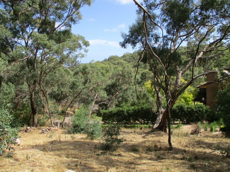 6 Ash Court, Belair SA 5052