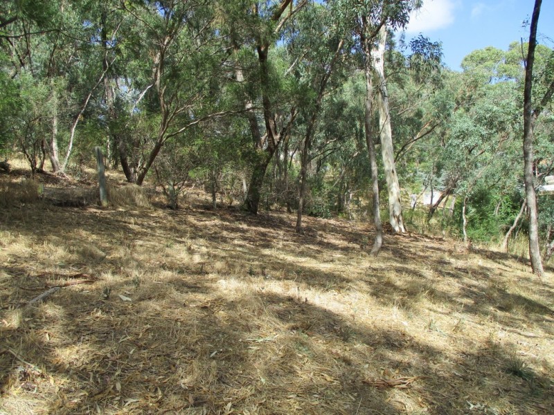 6 Ash Court, Belair SA 5052