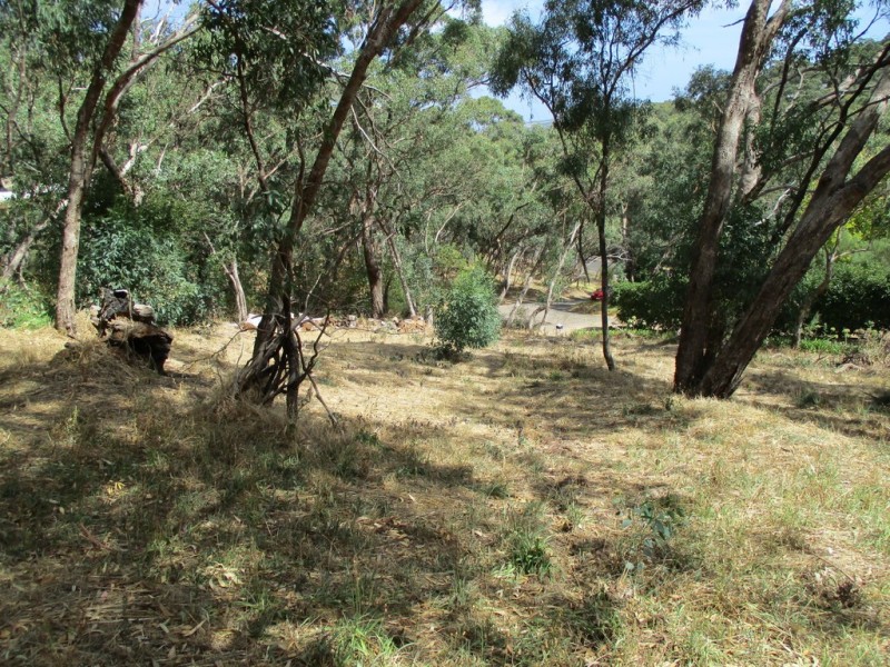 6 Ash Court, Belair SA 5052