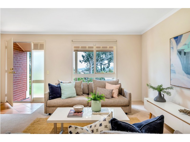 23 Eucalypt Circuit, Flagstaff Hill SA 5159