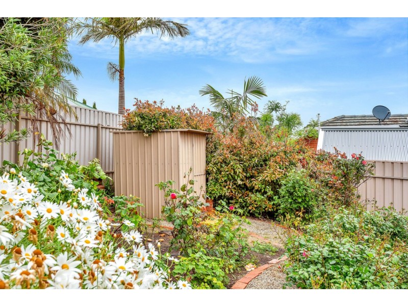 23 Eucalypt Circuit, Flagstaff Hill SA 5159