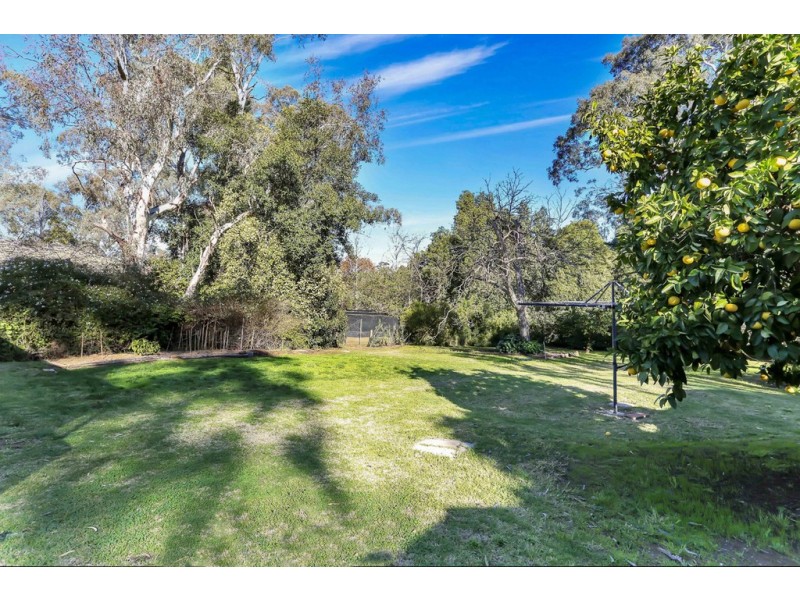 4 Pine Road, Hawthorndene SA 5051