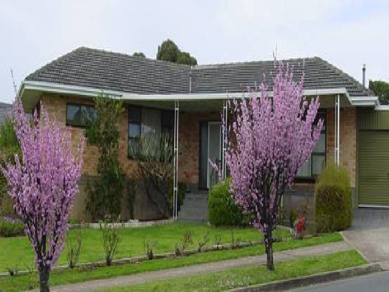 24 GRACE ROAD, Darlington SA 5047